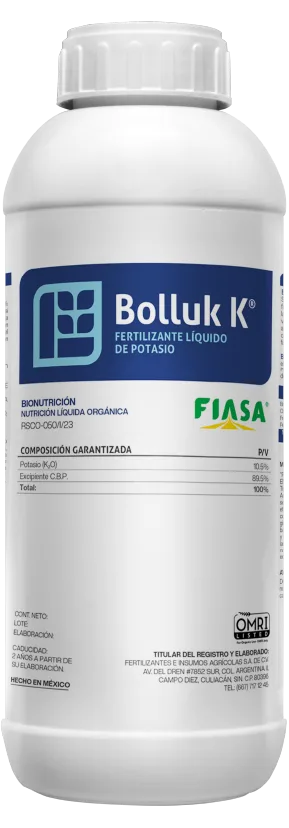 Bolluk K