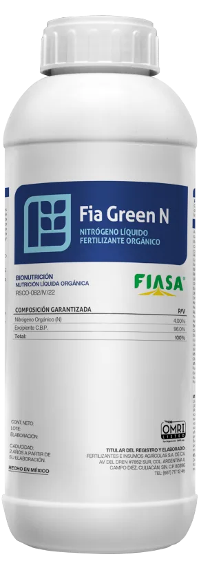 Fia Green N