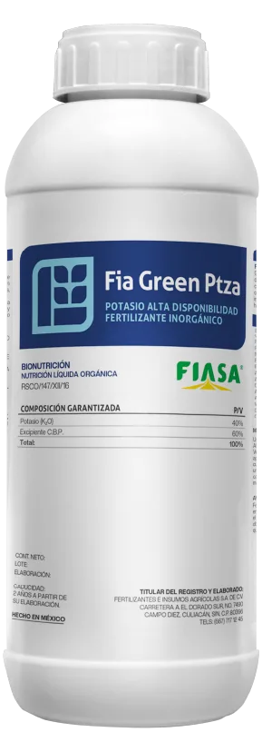 Fia Green Ptza